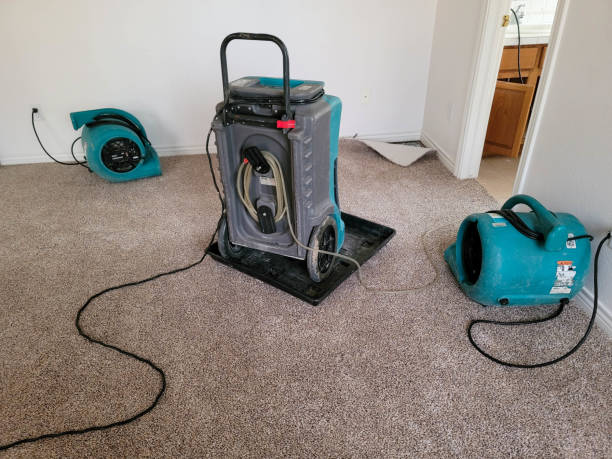 Best Sewage cleanup and water damage restoration  in St Maries, ID