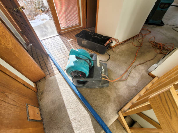 Sewage cleanup and water damage restoration in St Maries, ID